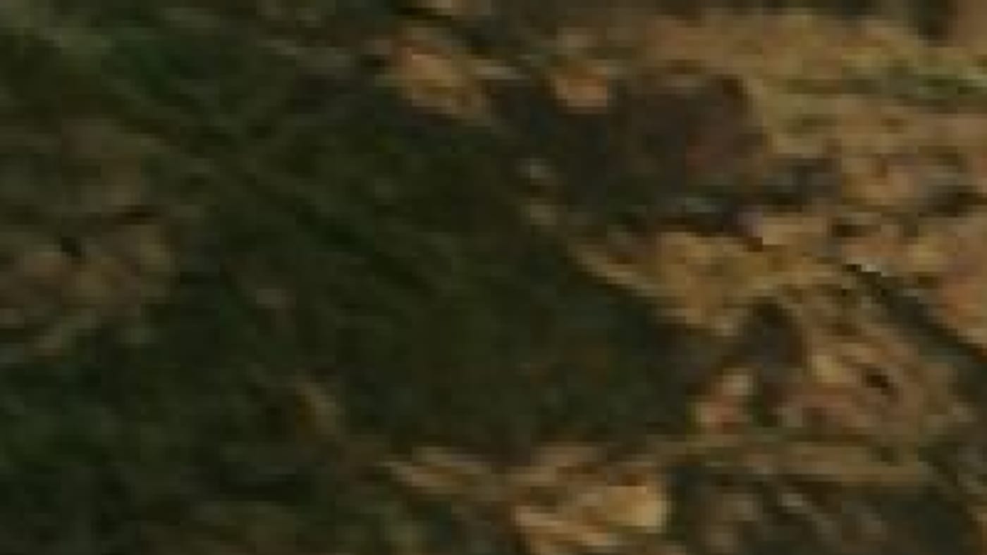 Imagem de satélite da zona do incêndio de castrocontrigo antes e depois do fogo