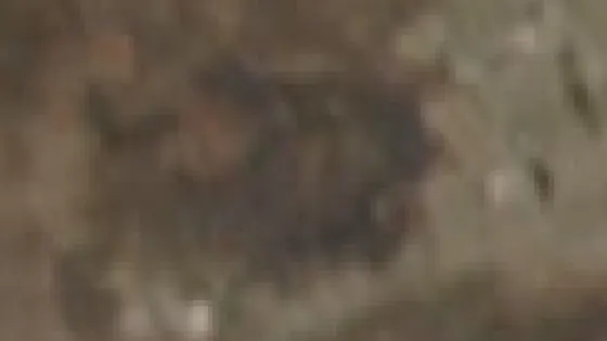 Superficie quemada del incendio de Los Gallardos vista por satélite